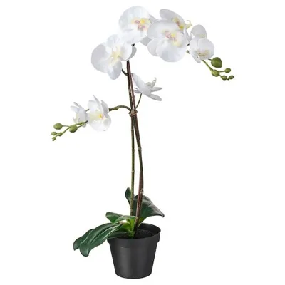 FEJKA Artificial potted plant, Orchid white 12 cm, 20294940