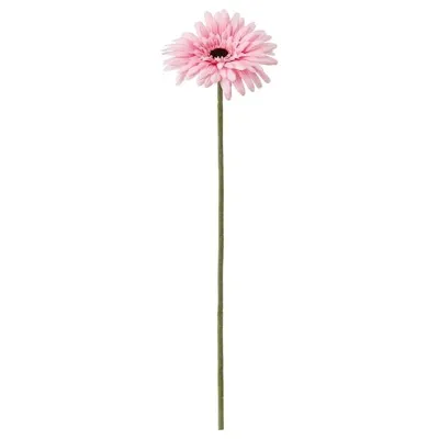SMYCKA Artificial flower, Gerbera/pink 50 cm, 30409766