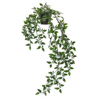 FEJKA Artificial potted plant, in/outdoor/hanging 9 cm, 40349545
