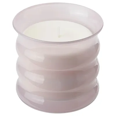 LUGNARE Scented candle in glass, Jasmine/pink, 50 hr, 40502151