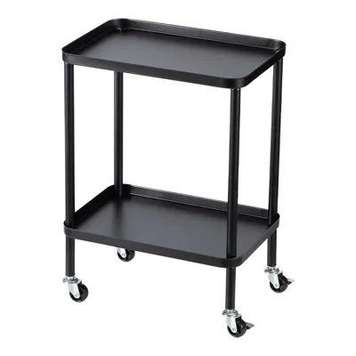Iron Double-Deck Trolley Cart Rack, Black, 38*26*52Cm 4589767237615