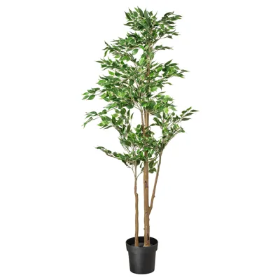 FEJKA artificial potted plant, in/outdoor Weeping fig, 21 cm, 00491574