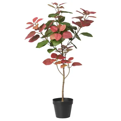 FEJKA Artificial potted plant, in/outdoor smoke tree, 80583522