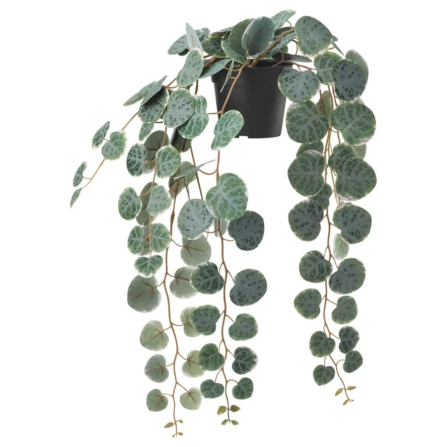 FEJKA Artificial potted plant, in/outdoor hanging/String of hearts 9 cm, 70461125