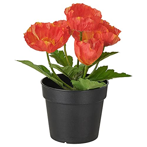 FEJKA Artificial Potted Plant, in/Outdoor/Poppy red 9 cm 30476157
